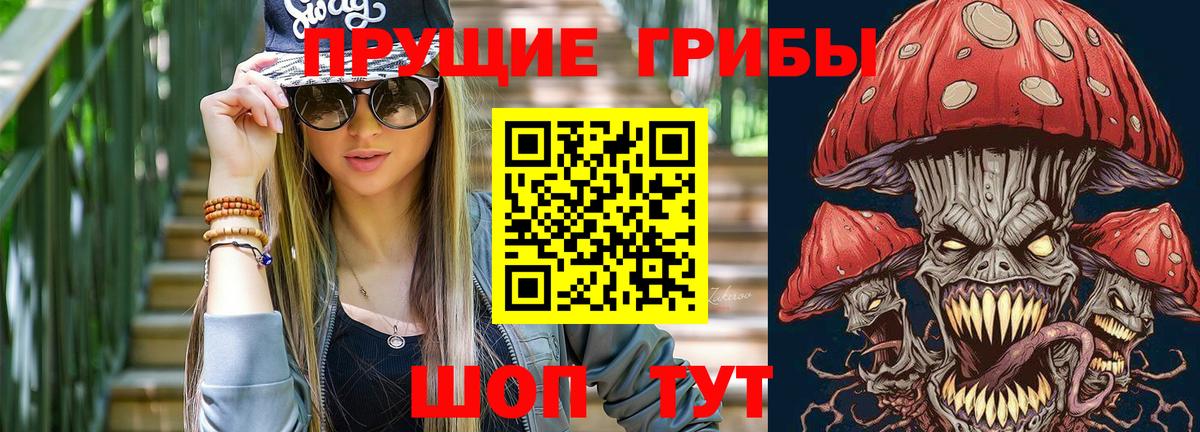 где можно купить   Псилоцибиновые грибы мицелий  Вход с VPN  Белогорск 